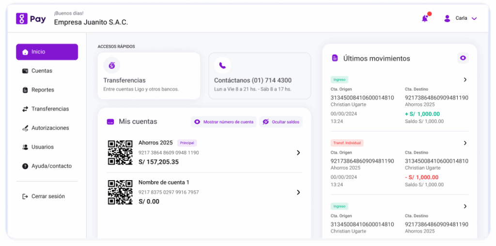 Ligopay Web